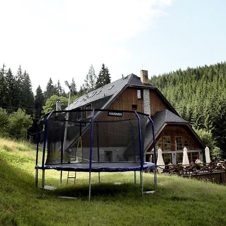 Horsky Hotel Vidly Karlova Studánka Extérieur photo
