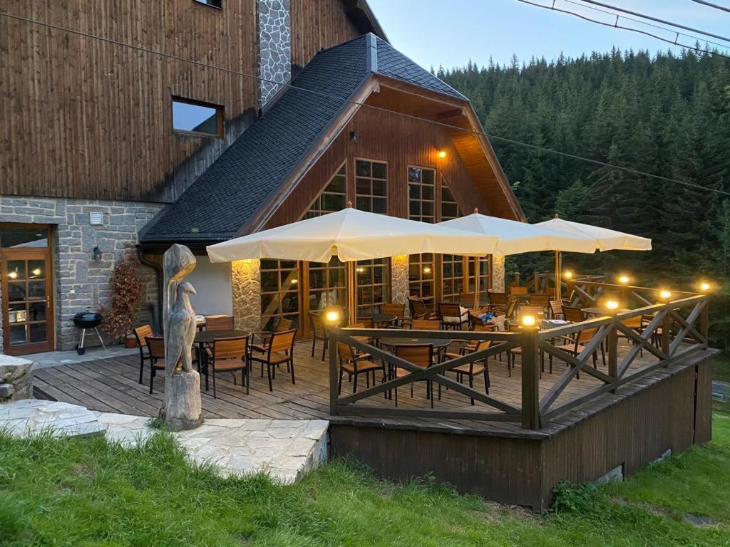 Horsky Hotel Vidly Karlova Studánka Extérieur photo