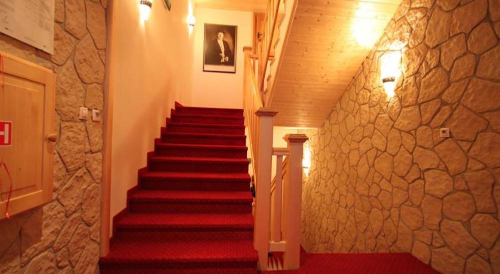 Horsky Hotel Vidly Karlova Studánka Extérieur photo