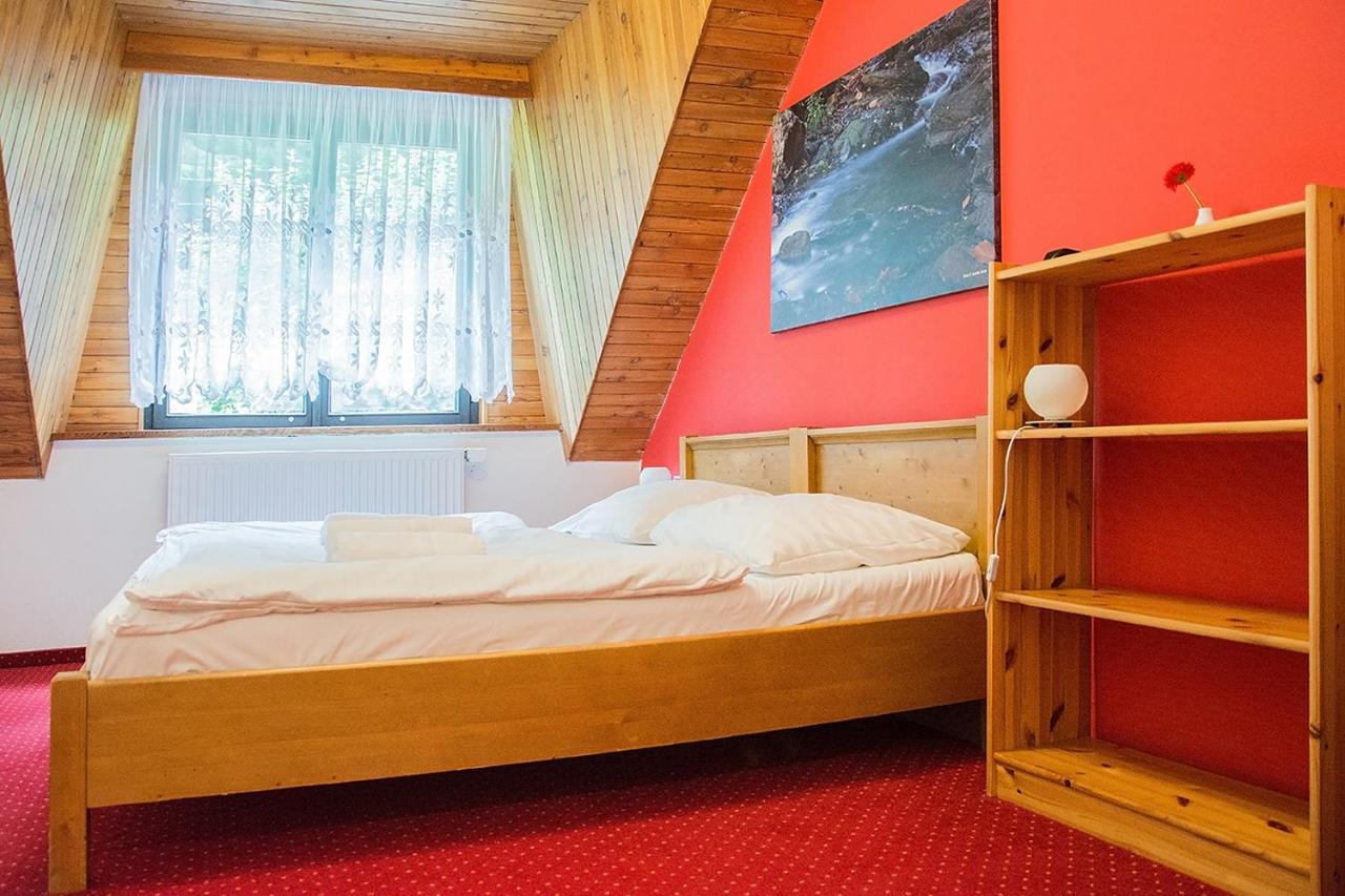 Horsky Hotel Vidly Karlova Studánka Extérieur photo